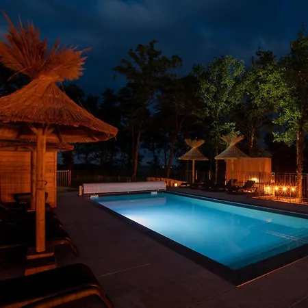 Casa de Férias Le Pech Eternel - Des Pins Sarlat-la-Canéda