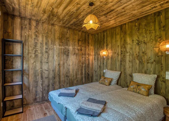 Le Pech Eternel - Des Pins 度假居