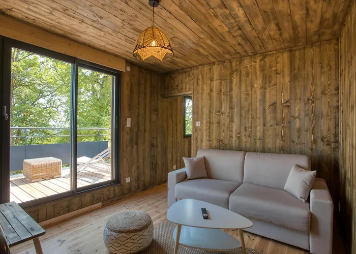 Le Pech Eternel - Des Pins 度假居 *